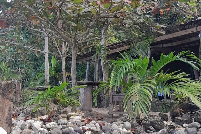 Peats Private Rustic Beach From Ocho Rios - Booking Your Stay