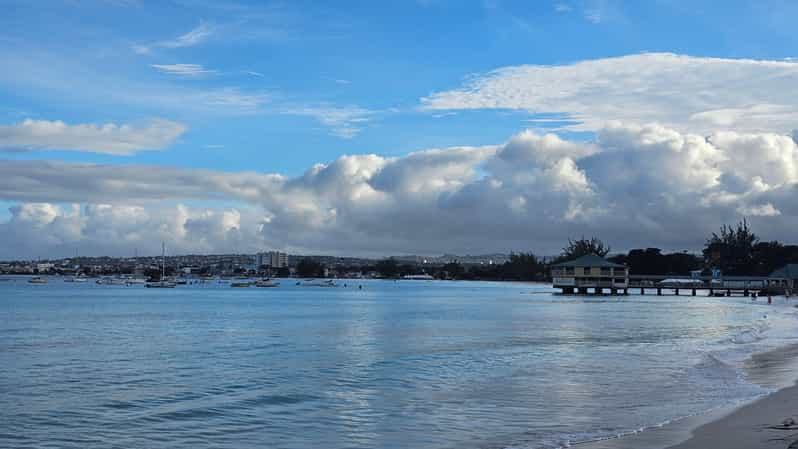 Pebbles Beach Barbados: Tour With Race Horses on the Beach - Key Points