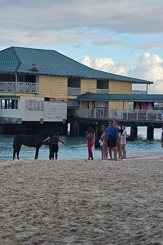 Pebbles Beach Barbados: Tour With Race Horses on the Beach - Customizable Packages