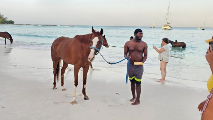 Pebbles Beach Barbados: Tour With Race Horses on the Beach - Booking and Cancellation
