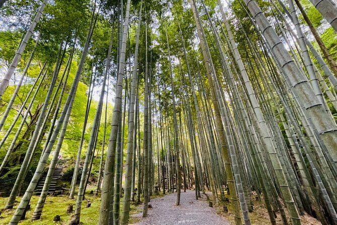 Pedal Adventure Kyoto E-Bike Tour : True Kyoto Avoid the Crowds - Experiencing Kyotos Rich Cultural Heritage