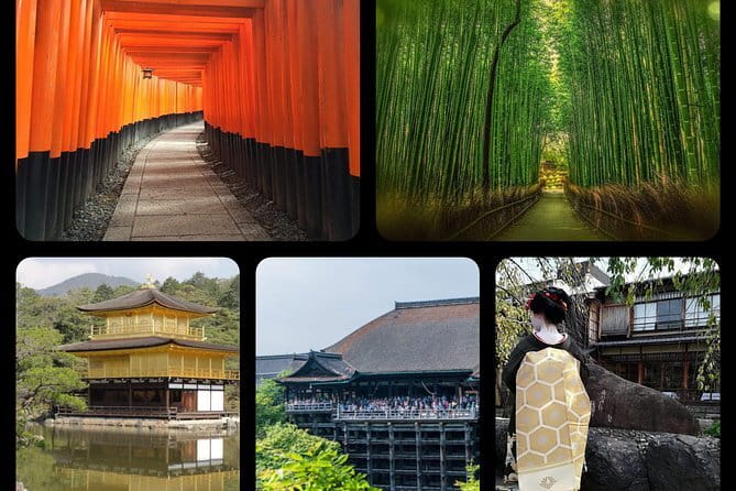 Pedal Adventure Kyoto E-Bike Tour : True Kyoto Avoid the Crowds - Savoring Kyotos Culinary Delights