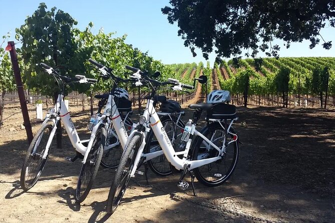 Pedal and Paddle Wine Tour in Arizona - Bicycling Through Scenic Sedona