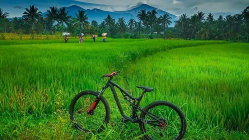 Pedal Bike Through Rice Terraces, Forests and Lawang Caves - Exploring Rice Terraces and Forests