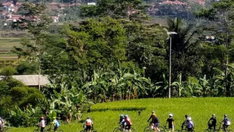Pedal Bike Through Rice Terraces, Forests and Lawang Caves - Adventure in Lawang Cave