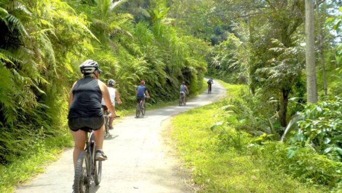 Pedal Bike Through Rice Terraces, Forests and Lawang Caves - Customer Feedback