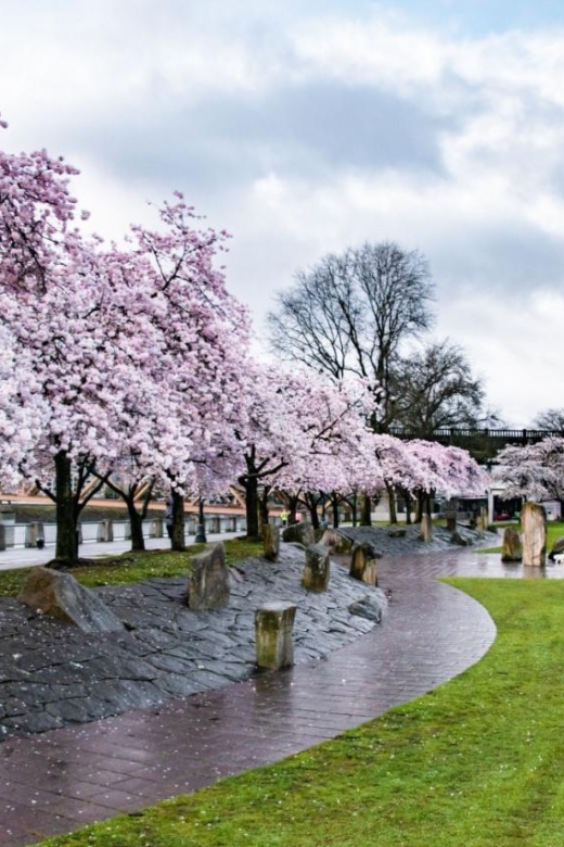 Pedaling Through the Best of Portland Tour - Riverside Greenway Exploration