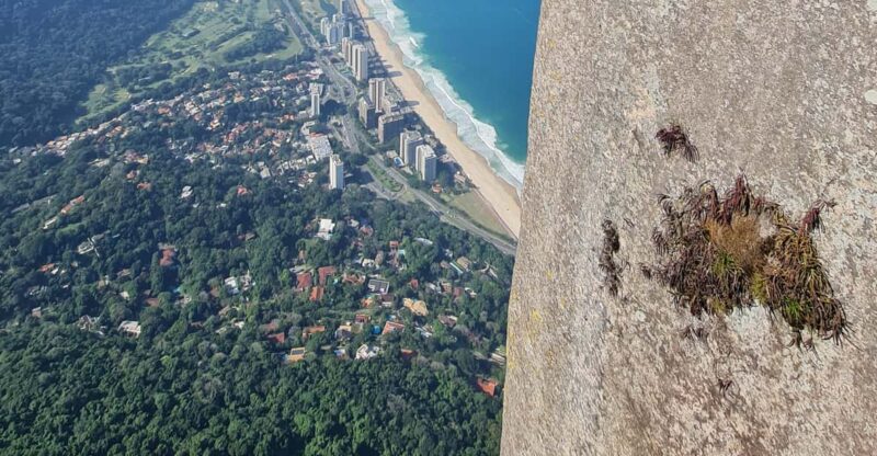 Pedra Da Gávea Rio Summit Hike - Pricing and Availability