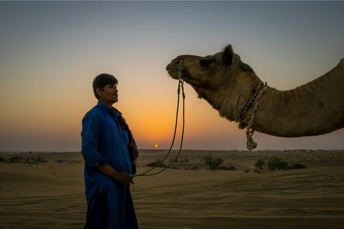 Peep's Billions of Stars Experience with Desert & Camel Safari - What is the Peep’s Billions of Stars Experience?