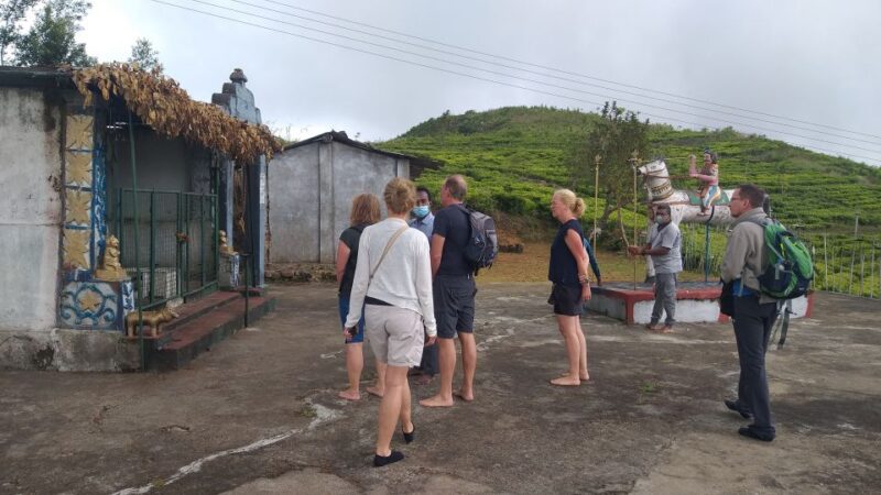 Pekoe Trail, 13, Haputale To St. Catherine & Liptons Seat Se - Historical Context