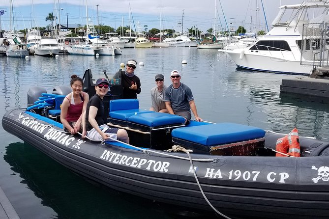 Pelagic Wildlife Excursion - Included in the Excursion