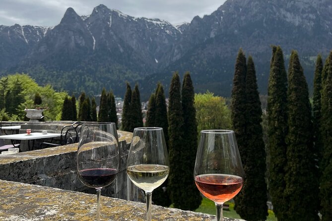 Peles & Cantacuzino Castles: Gourmet Wine & Cultural Day trip - Romanian Gastronomy Experience