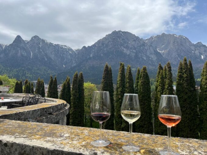 Peles & Cantacuzino Castles: Gourmet Wine & Cultural Trip - Indulging in Romanian Cuisine