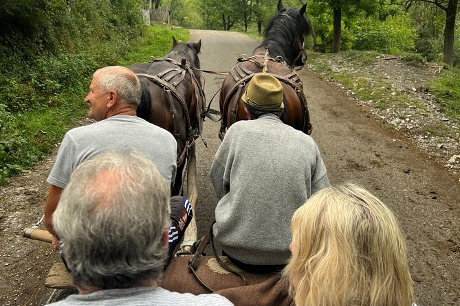 Peles Castle and Authentic Romanian Village Experience - Day Trip - Discovering Valea Doftanei