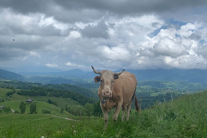 Peles Castle and Authentic Romanian Village Experience - Day Trip - Appreciating Mountain Scenery