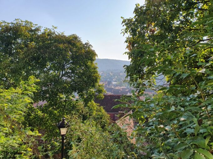 Peleș Castle, Bran Castle, and Brașov City - Private Tour - Cancellation and Payment