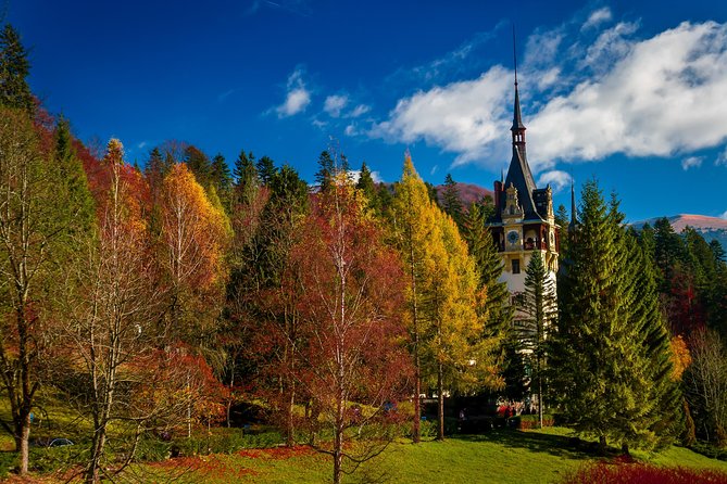 Peles Royal Castle & Wine Tasting - 9 Hours - Memorable Castle Tour