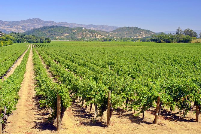 Peles Royal Castle & Wine Tasting - 9 Hours - Exquisite Wine Tasting