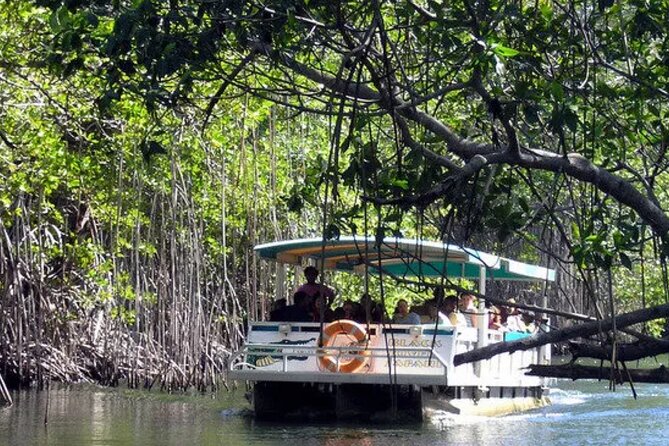Pelican Bar and Black River Safari Combine Tour From Montego Bay - Transportation Details