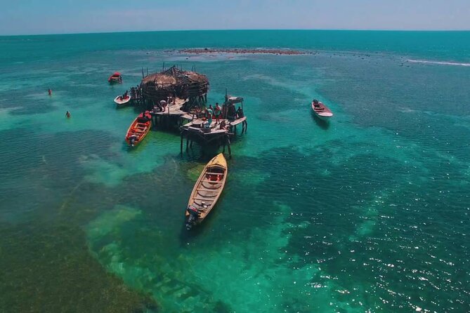 Pelican Bar and Black River Safari Combine Tour From Montego Bay - Wildlife Encounters