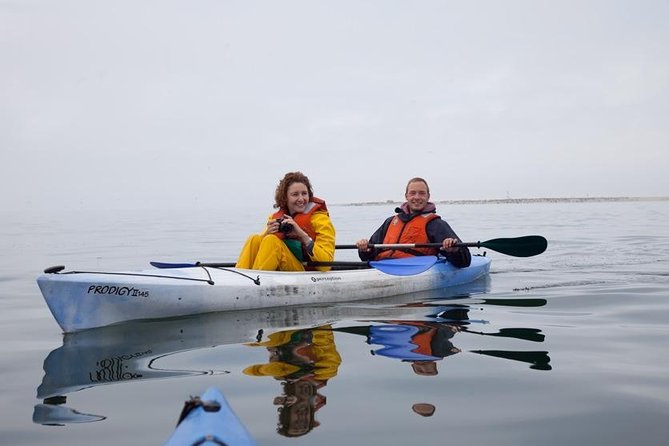 Pelican Point Kayaking Half-Day Tour - Observing the Wildlife
