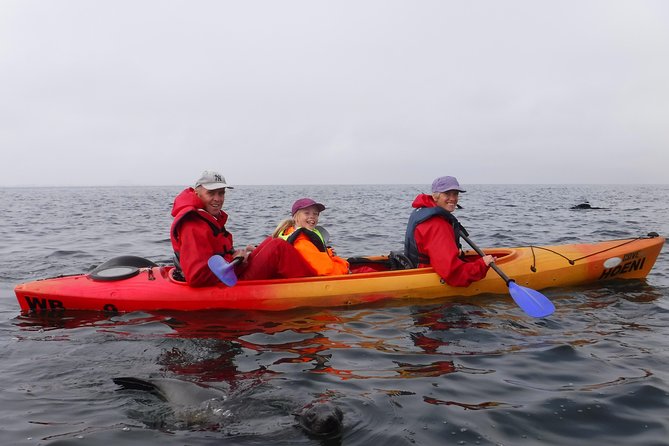 Pelican Point Kayaking Half-Day Tour - Included Amenities