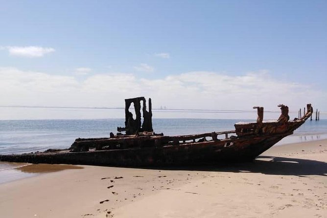 Pelican Point Seal Colony 4x4 Tour - Inclusions and Amenities