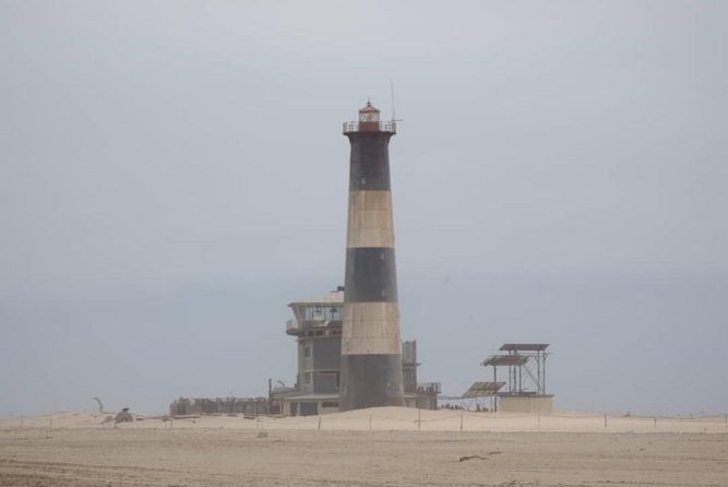 Pelican Point Seal Colony 4x4 Tour - Customer Feedback and Reviews