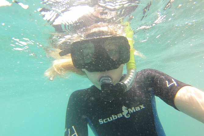 Pelican Rock Snorkeling and Sightseeing Adventure - Highlights of the Experience