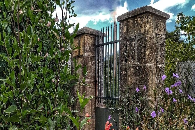 Pelion Villages Small Group Tour: Pinakates, Vizitsa & Milies - Inclusions at a Glance