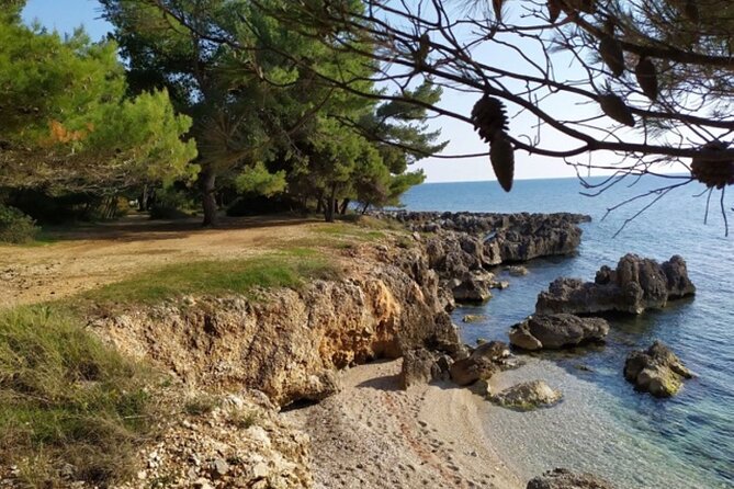 Pelion Villages Small Group Tour: Pinakates, Vizitsa & Milies - Exploring Pinakates