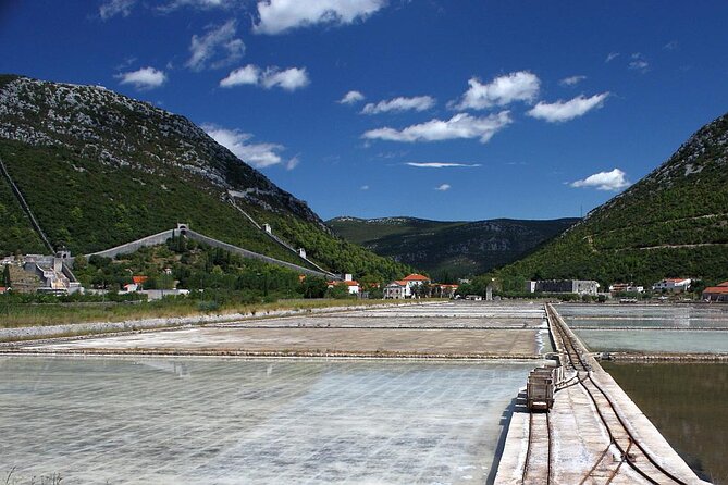 Peljesac and Ston Private Wine Tour With Tastings From Dubrovnik - Accessibility and Participation Information