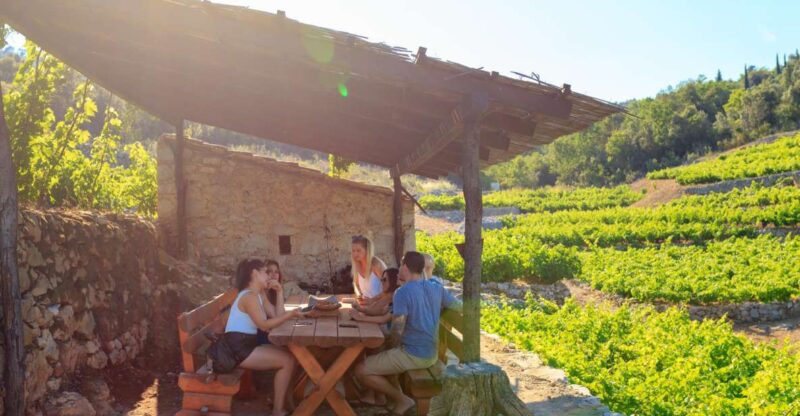 PelješAc Full-Day Wine and Food Tour From Dubrovnik - Good To Know