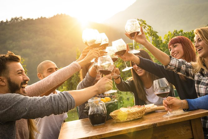 Peljesac Peninsula Wine Tasting Luxury Tour From Dubrovnik - Tour Inclusions