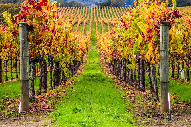 Peljesac Peninsula Wine Tasting Luxury Tour From Dubrovnik - Booking Details