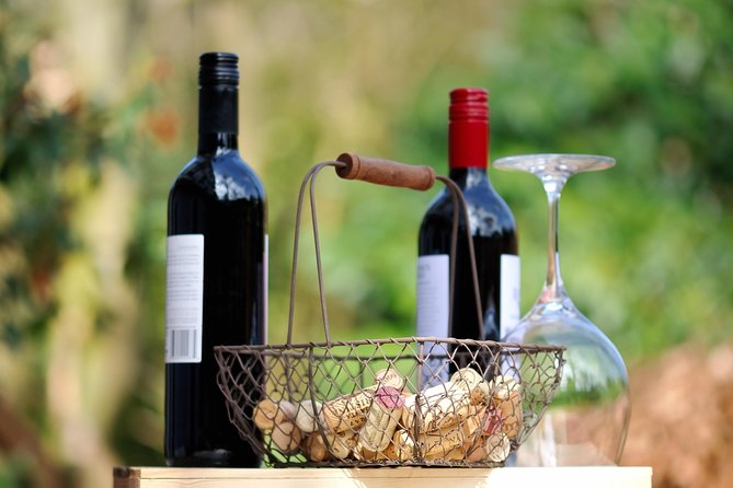 Peljesac Peninsula Wine Tasting Luxury Tour From Dubrovnik - Customer Feedback