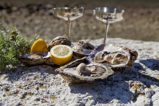 Peljesac Peninsula Wine Tasting Luxury Tour From Dubrovnik - Exploring Peljesac Peninsula