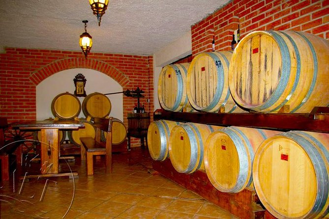 Peljesac Vineyards & Oysters - Private Day Trip From Dubrovnik-Mercedes Vehicle - Ston Old Town