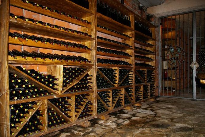 Peljesac Vineyards & Oysters - Private Day Trip From Dubrovnik-Mercedes Vehicle - Inclusions