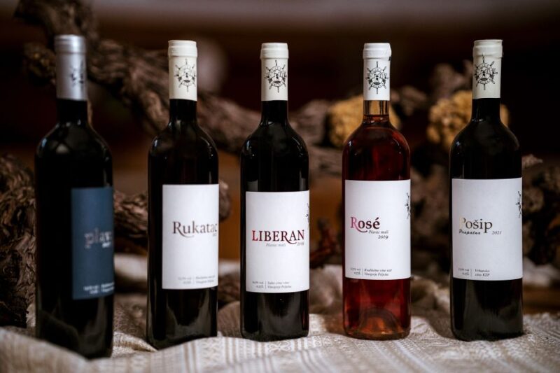 PelješAc Wine Tasting and Local Winery Visit - Itinerary Details