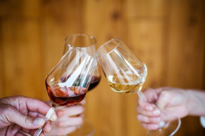 PelješAc Wine Tasting and Local Winery Visit - Tasting the Local Wines