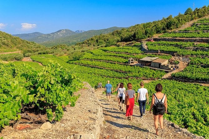Peljesac&Ston Small-Group Food & Wine Experience From Dubrovnik - Itinerary Details