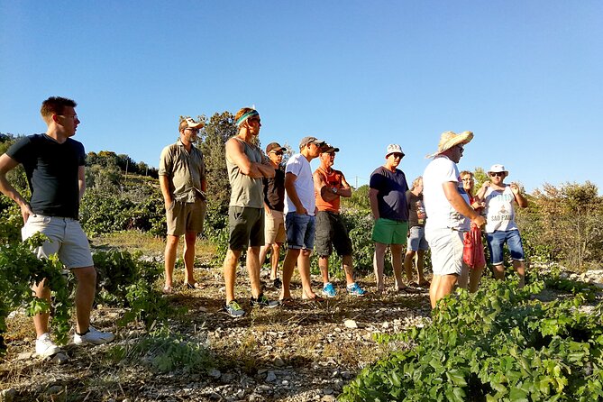 Peljesac&Ston Small-Group Food & Wine Experience From Dubrovnik - Booking and Cancellation Policies