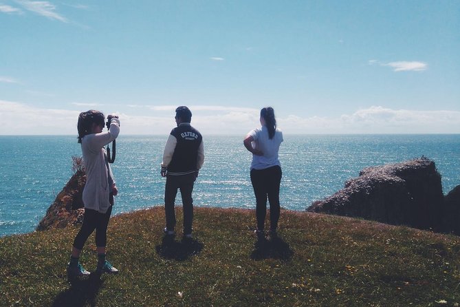 Pembrokeshire Coast Private Day Hike From Haverfordwest - Customizable Hiking Itinerary