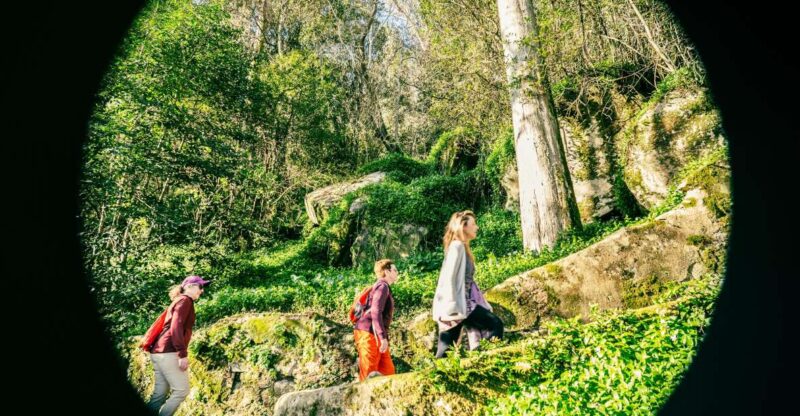 Pena Palace, Moorish Castle,Quinta Ad Regaleira:Walking Tour - Hiking to Moorish Castle