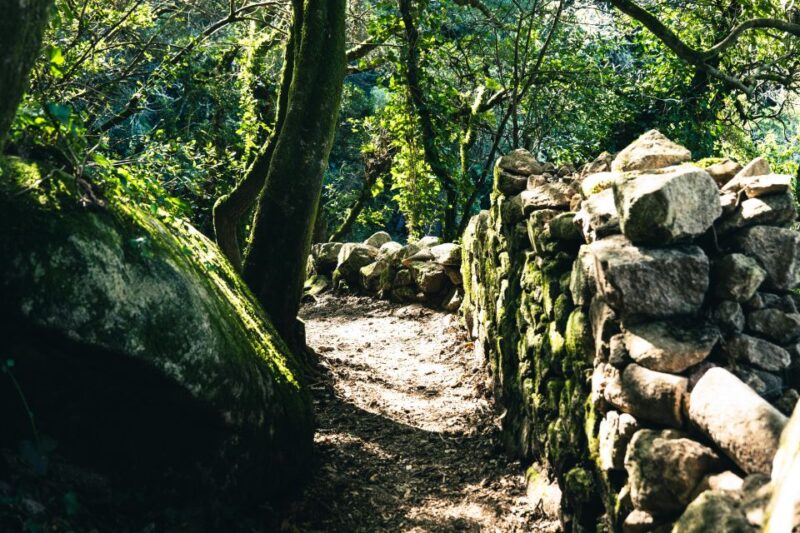 Pena Palace, Moorish Castle,Quinta Ad Regaleira:Walking Tour - Exploring Moorish Heritage