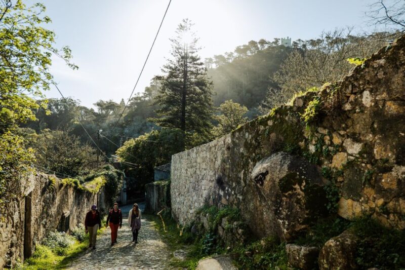 Pena Palace, Moorish Castle,Quinta Ad Regaleira:Walking Tour - Hiking to Moorish Castle