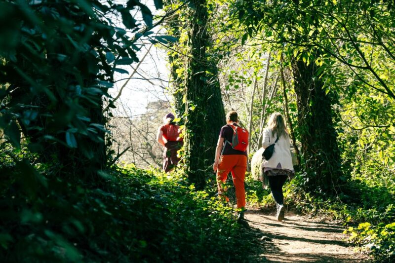 Pena Palace, Moorish Castle,Quinta Ad Regaleira:Walking Tour - Key Points