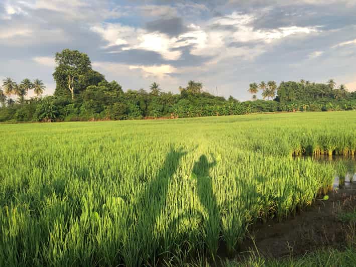 Penang: Balik Pulau Countryside Morning Cycling Tour - Itinerary and Experience