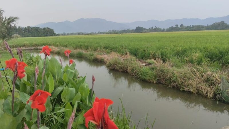 Penang: Balik Pulau Countryside Morning Cycling Tour - Inclusions and Requirements